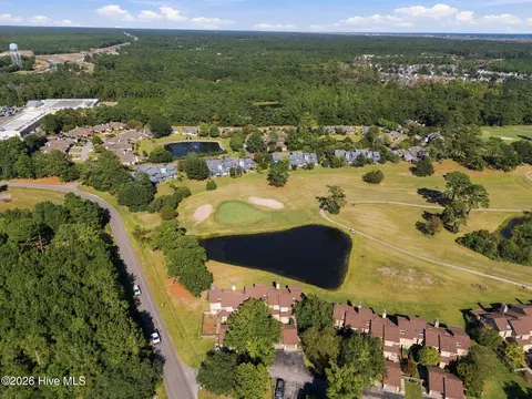 View/Area - 107 Egret Ct, Hampstead, NC 28443 photo 2 of 3