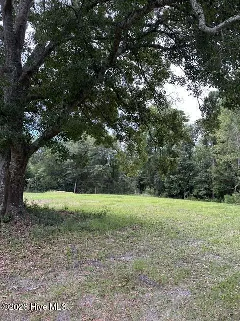270 Williams Store Rd, Hampstead, NC 28443 photo 5