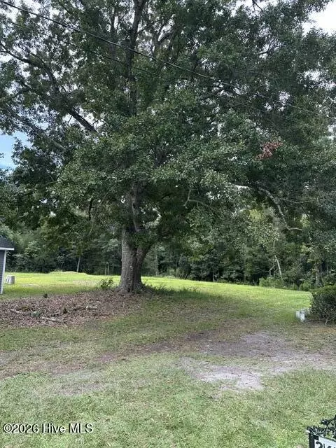 270 Williams Store Rd, Hampstead, NC 28443 photo 4