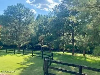 Other - 195 Ruby Ridge Rd, West End, NC 27376 photo 20 of 23