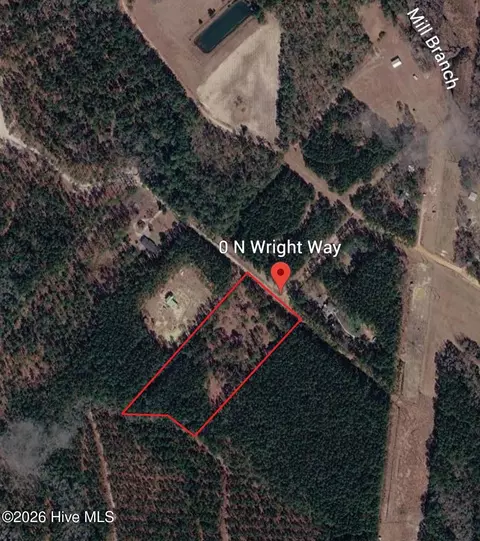 0 N Near N Wright Way, Burgaw, NC 28425
