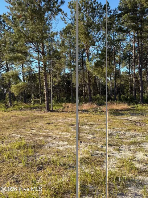lot5 Tbd Gibson Rd, Laurinburg, NC 28352