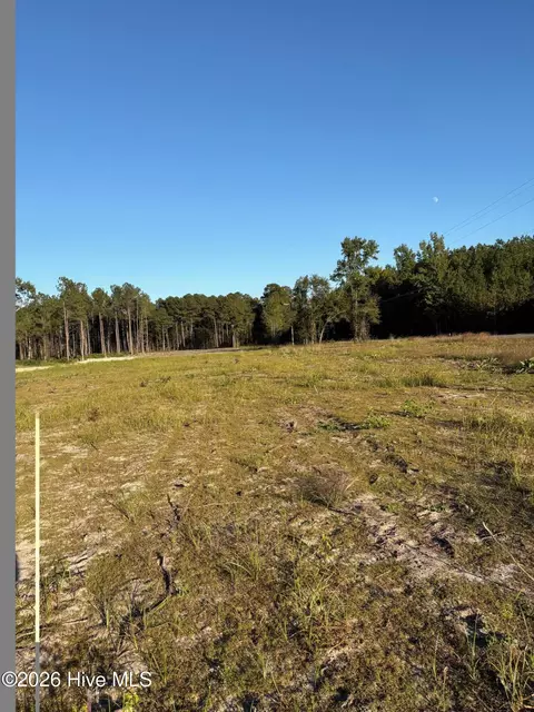 lot9 Tbd Gibson Rd, Laurinburg, NC 28352