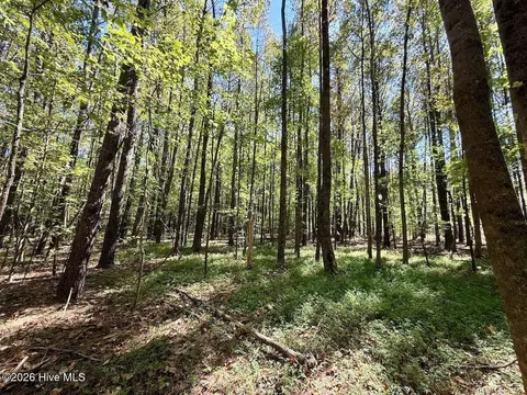 445 Morris Bbq Rd, Hookerton, NC 28538 photo 27