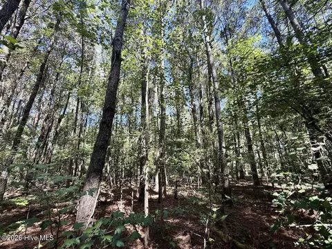 445 Morris Bbq Rd, Hookerton, NC 28538 photo 10