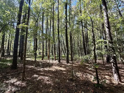445 Morris Bbq Rd, Hookerton, NC 28538 photo 15