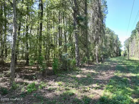 445 Morris Bbq Rd, Hookerton, NC 28538 photo 18