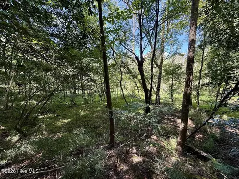 445 Morris Bbq Rd, Hookerton, NC 28538 photo 25