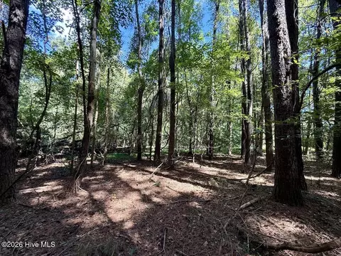 445 Morris Bbq Rd, Hookerton, NC 28538 photo 19