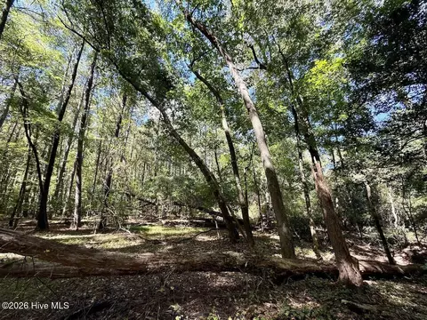 445 Morris Bbq Rd, Hookerton, NC 28538 photo 22