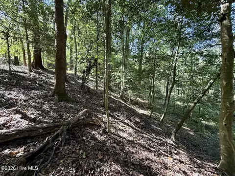 445 Morris Bbq Rd, Hookerton, NC 28538 photo 26