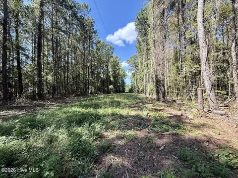 445 Morris Bbq Rd, Hookerton, NC 28538 photo 14