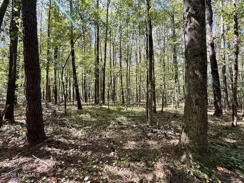 445 Morris Bbq Rd, Hookerton, NC 28538 photo 23