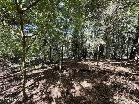 445 Morris Bbq Rd, Hookerton, NC 28538 photo 20