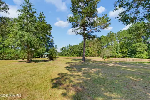 Exterior - 4635 Hallsboro Rd N, Clarkton, NC 28433 photo 9 of 9