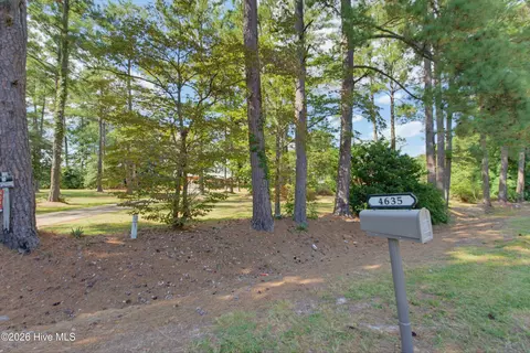 Other - 4635 Hallsboro Rd N, Clarkton, NC 28433 photo 19 of 19