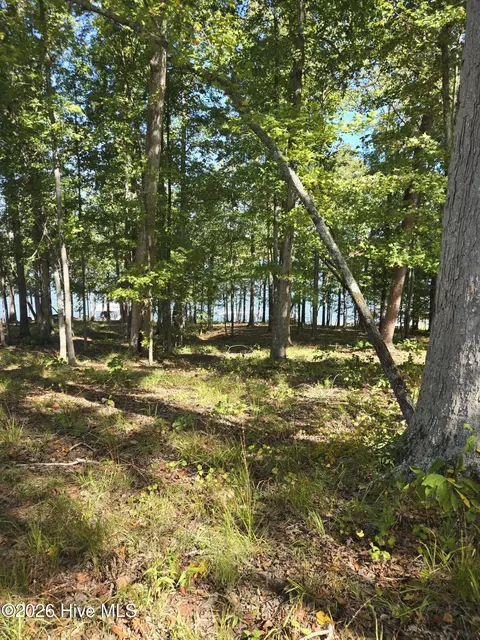 0 Nautical Pt, Lincolnton, GA 30817