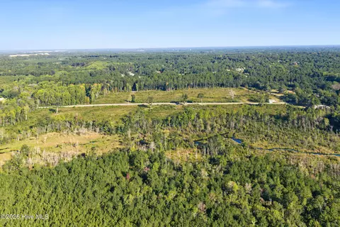 234 Gin Mill Rd, Hamlet, NC 28345 photo 10