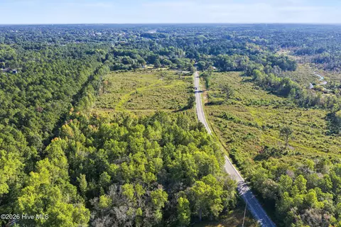 234 Gin Mill Rd, Hamlet, NC 28345 photo 18