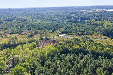 234 Gin Mill Rd, Hamlet, NC 28345 photo 20