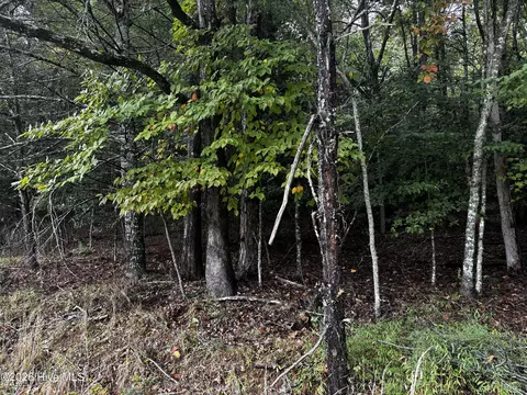 lot6 Joyce Rd, Murphy, NC 28906 photo 4