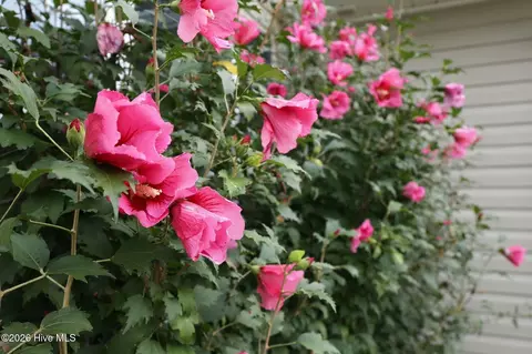 Exterior - 822 Cooke Dr, Hubert, NC 28539 photo 10 of 15