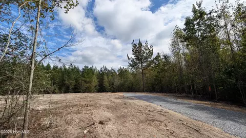 lot5 Capelsie Rd, Candor, NC 27229