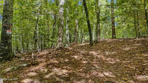 Other - 151 Pinewood Dr, Murphy, NC 28906 photo 7 of 12
