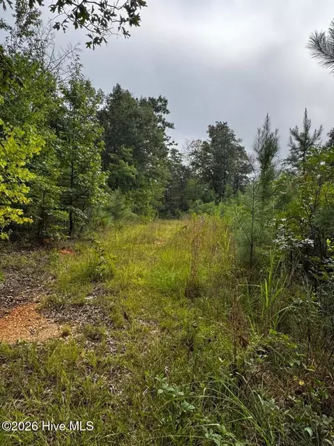 00 Gabe Rd, Saluda, SC 29138 photo 4
