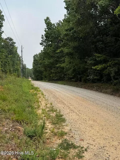 00 Gabe Rd, Saluda, SC 29138 photo 3