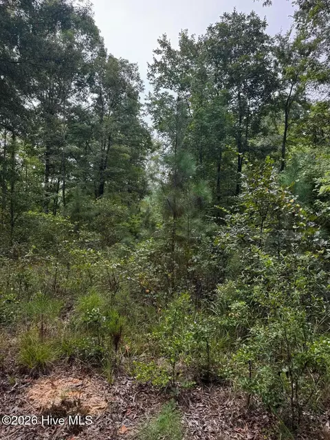 00 Gabe Rd, Saluda, SC 29138 photo 2
