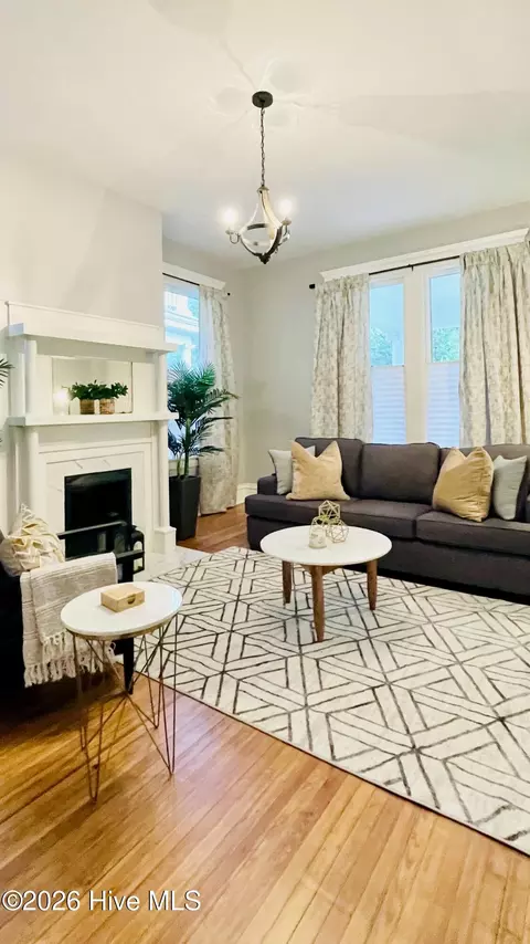 Living - 227 Greene St, Augusta, GA 30901 photo 9 of 10
