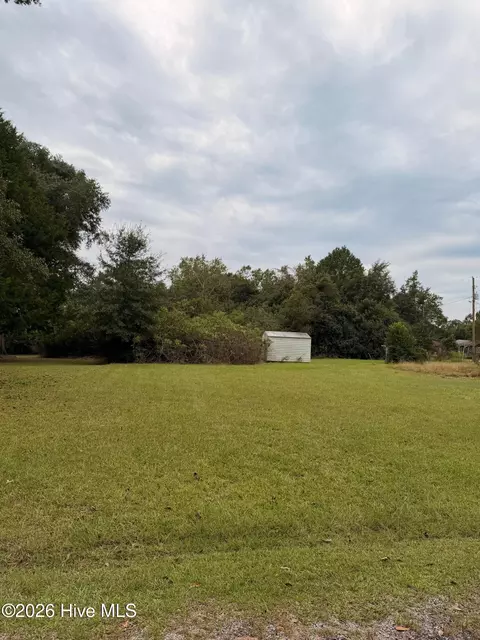 0 Mary St, Midville, GA 30441