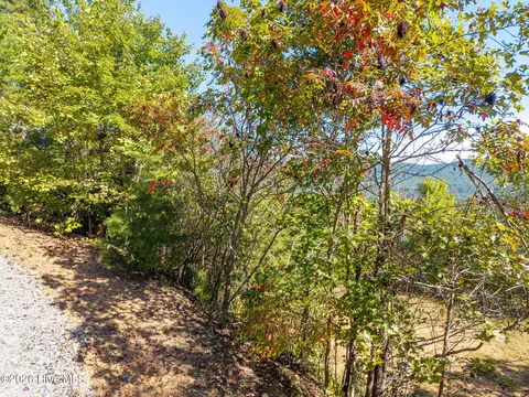 33 Sugarwood Dr, Murphy, NC 28906 photo 22