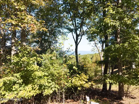 310 Skyland Trl, Murphy, NC 28906 photo 3
