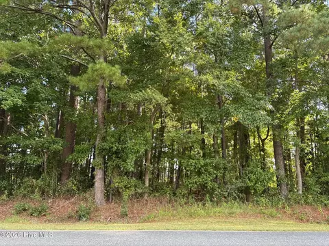 tbd Tinkham Rd, Eure, NC 27935 photo 2