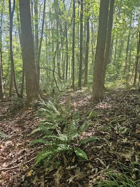 0 Off Old County Home Rd, Nashville, NC 27856