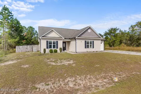 Other - 118 Blueberry Fields Rd, Maple Hill, NC 28454 photo 2 of 13