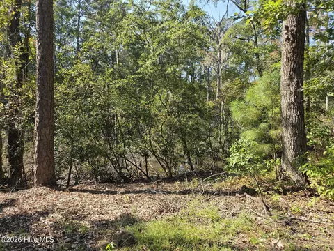 321 Bay View Dr, Chocowinity, NC 27817 photo 4