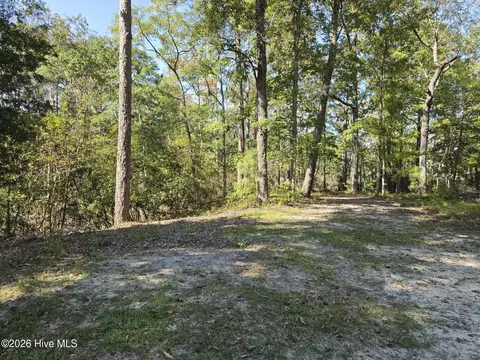 321 Bay View Dr, Chocowinity, NC 27817 photo 3