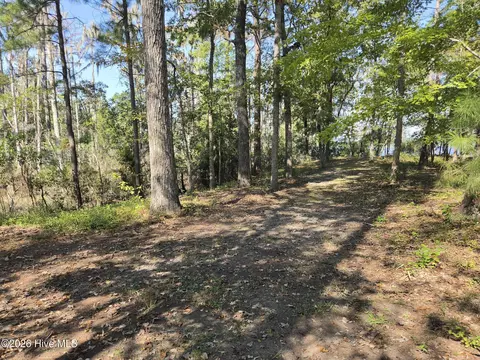 321 Bay View Dr, Chocowinity, NC 27817 photo 5