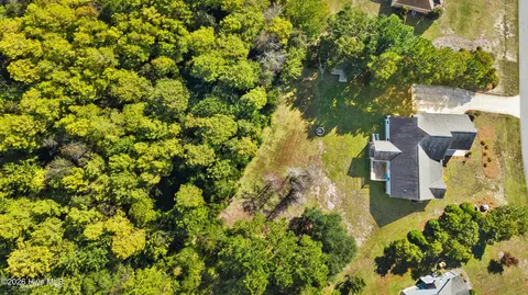 View/Area - 182 Scrub Oaks Dr, Hampstead, NC 28443 photo 3 of 4