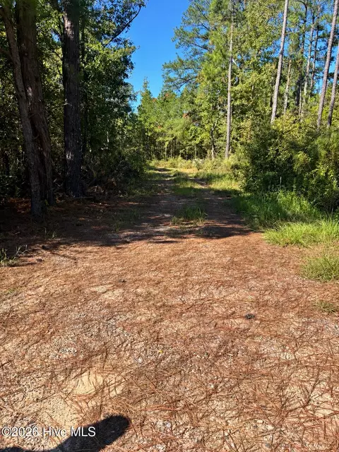 3245 Ga Highway 88, Blythe, GA 30805