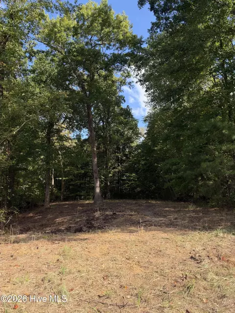 21 Hannah Dr, Chocowinity, NC 27817 photo 3