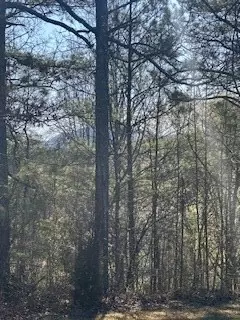 9-11 Sugar Maple Rd, Murphy, NC 28906 photo 4