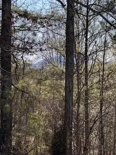 9-11 Sugar Maple Rd, Murphy, NC 28906 photo 3
