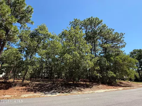 5 Fur Ct W, Pinehurst, NC 28374 photo 4