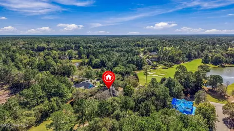 View/Area - 311 Red Fox Run Dr, Wallace, NC 28466 photo 4 of 18
