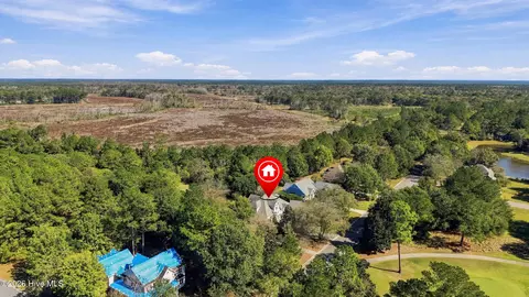 View/Area - 311 Red Fox Run Dr, Wallace, NC 28466 photo 11 of 18