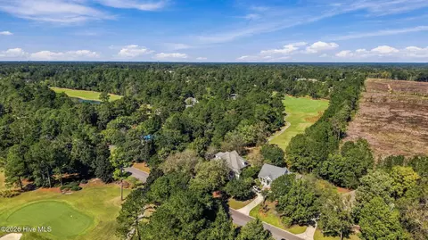View/Area - 311 Red Fox Run Dr, Wallace, NC 28466 photo 2 of 18